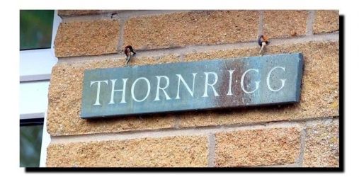 Thornrigg