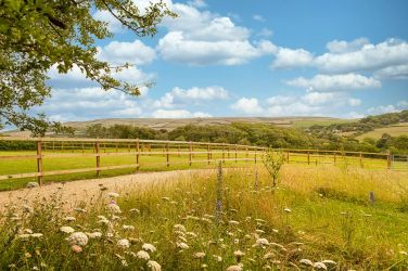2 acre walking paddocks