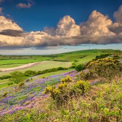 St Catherine's Down, Isle of Wight.