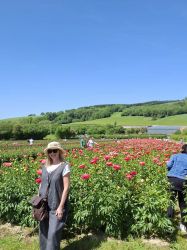 Our fabulous local peony farm open day,
