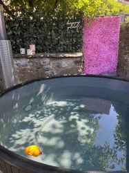 The Wishing Well Apartment