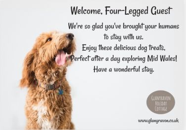 Hello Four Legged Friend