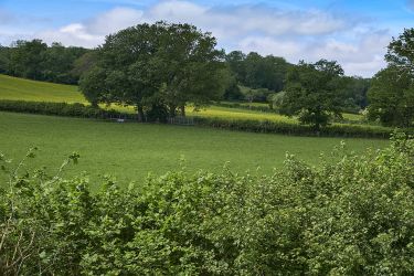 Lower Canwood