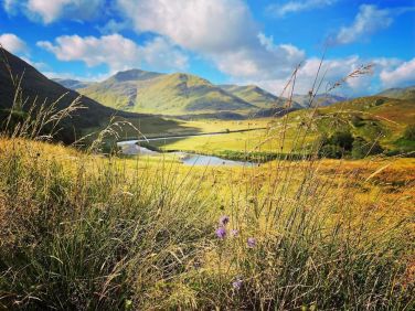 Glen Affric is a world-class rewilding project and a key member of the Rewilding Europe network.