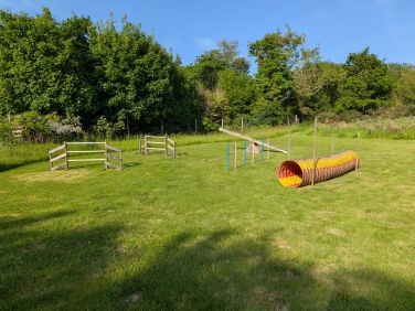 Dog agility equipment