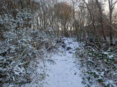 Path near the stream
