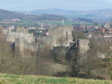 Castle from Whitcliffe