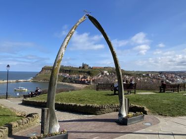 Harbour Watch