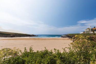 Trewalder