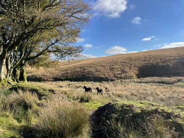 Beautiful Exmoor filled with wonderful walks