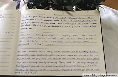 Mountain Biking in Brechfa Forest.....