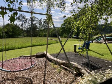 Nest swing in the shared field.