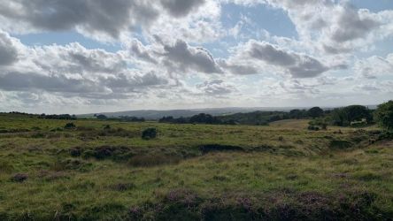 Blaendyffryn Fach