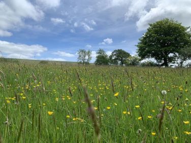 Blaendyffryn Fach