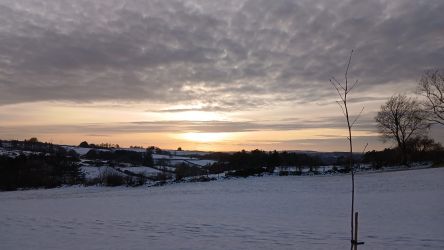 Winter view towards the mountain