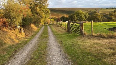 Blaendyffryn Fach