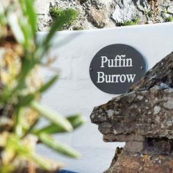 Puffin Burrow affords the private spot at the end of the row.