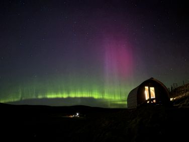 Cabin 1