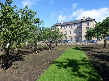 Orchard