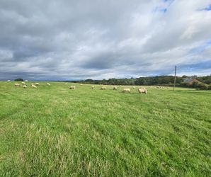 Views from the public footpath on the farm