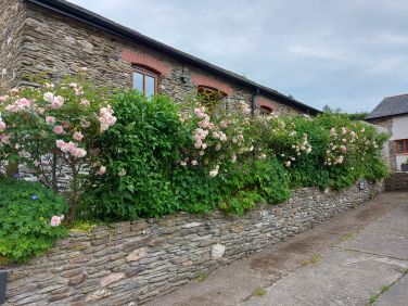 RyePark House - The Barn