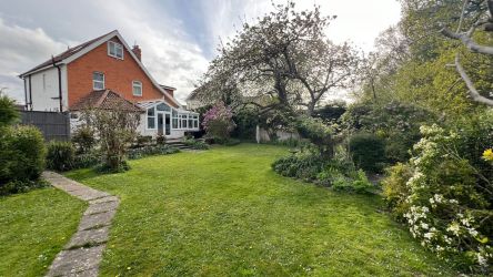 Tree of Life House