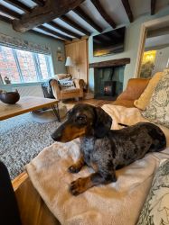 The Old Ropery at Mill Cottage