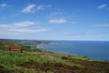 Local view