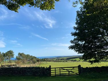 View from the cottage