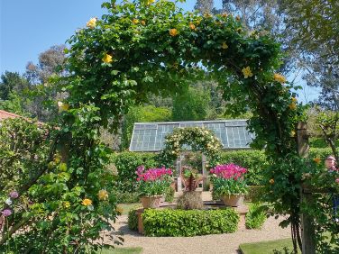 Visit East Ruston Old Vicarage Garden, over 30 acres, 1 mile away