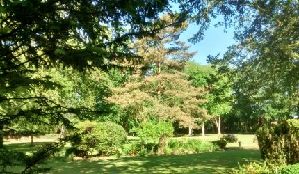 View of main garden