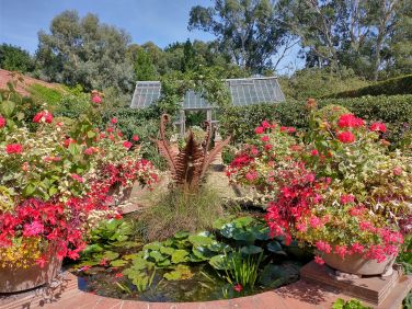 Visit East Ruston Old Vicarage Garden - over 30 acres to explore & tea & cake when you  need a rest
