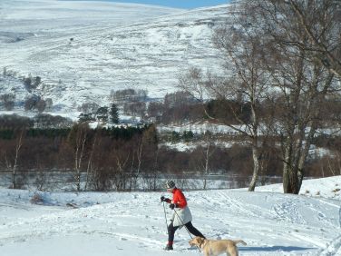 Cross Country Skiing in the field.