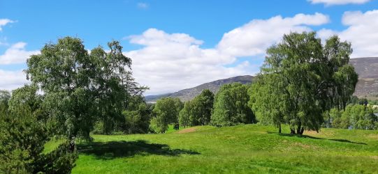 View over the fields.