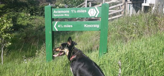 The Speyside Way nearby.