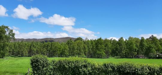 .View over the fields.