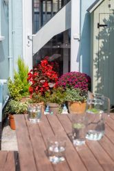 Sydenham Cottage