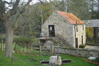 Surprise View Cottage - an idylic setting