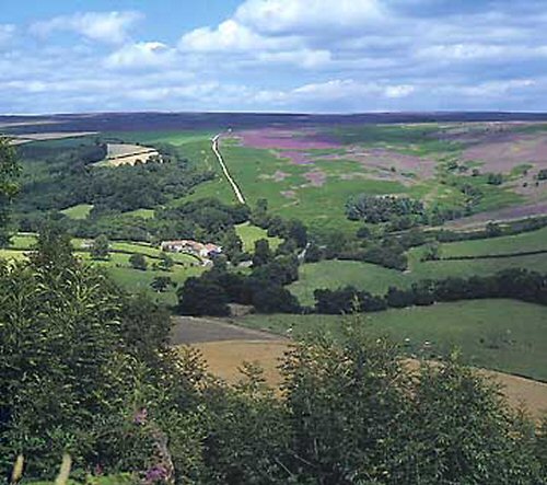 Surprise View Cottages & Field Barn Cottage
