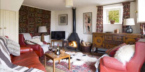 The cosy living room with wood-burning stove