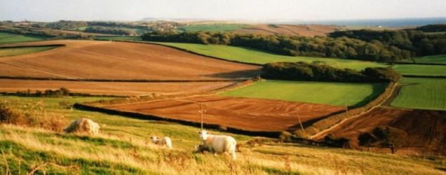Elworth Farmhouse Cottage