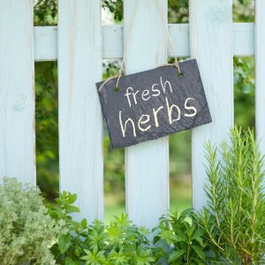 Picket fence with sign saying herbs on it behind a herb garden