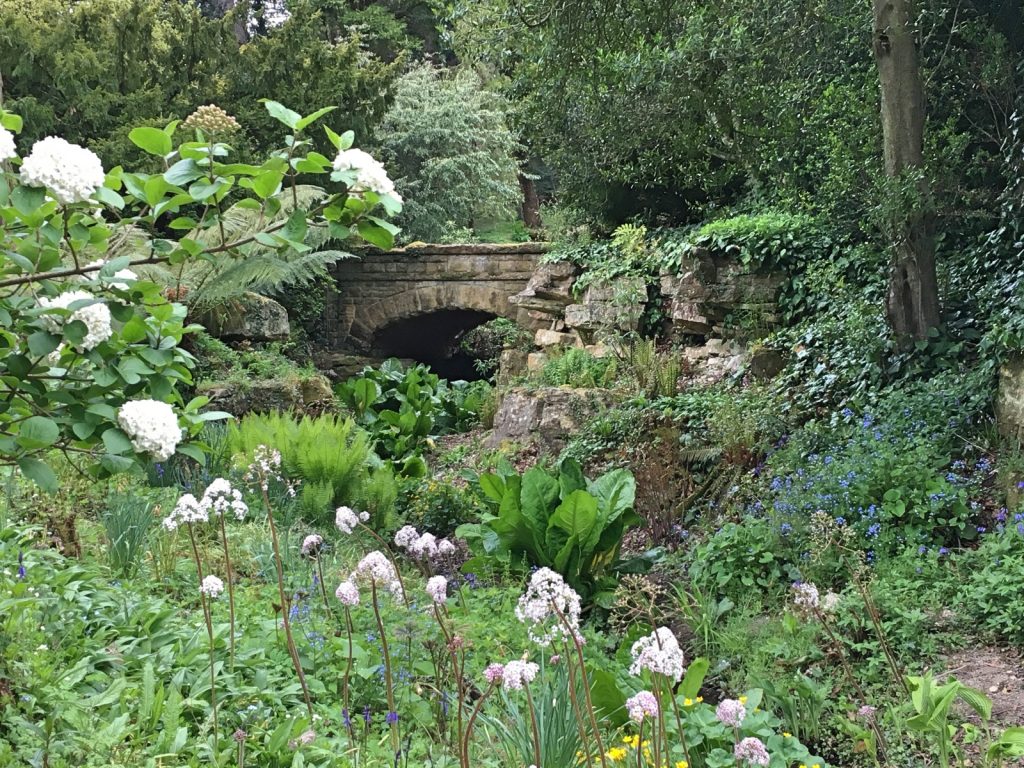 Plants in white bloom in front of old stone bridge