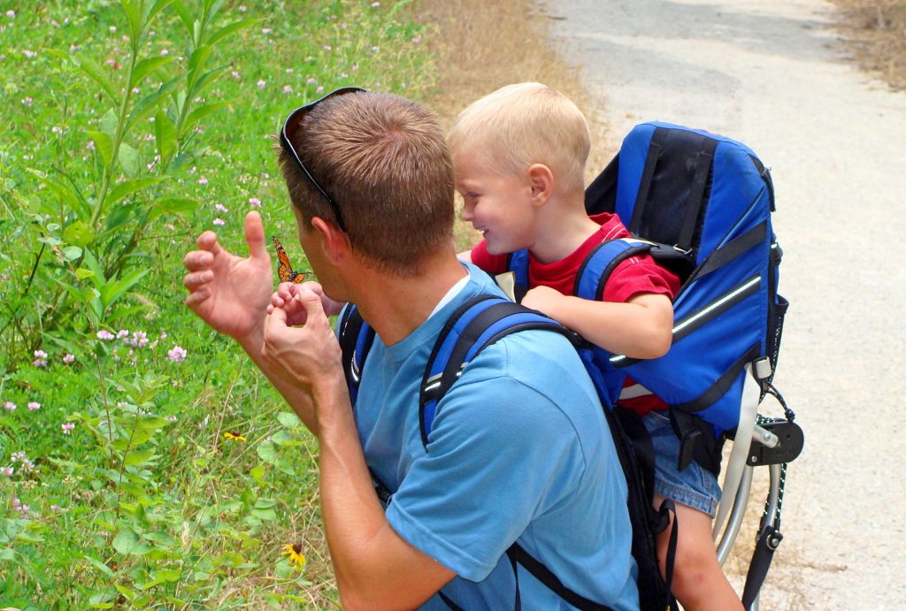 Spotting butterflys