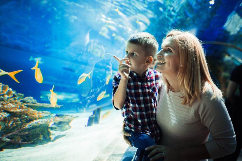 Mother and son looking at fish in a Aquarium