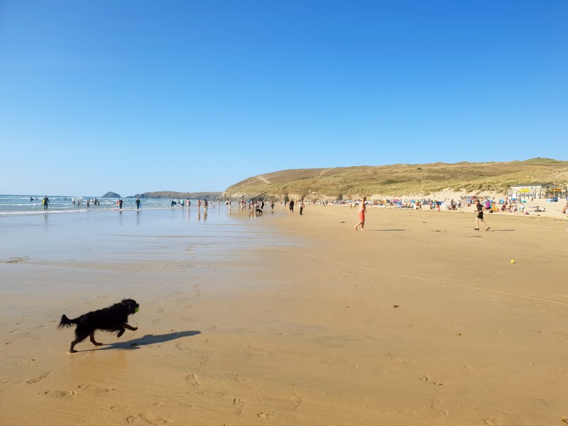 Black dog running on the golden sandy beach with people in background