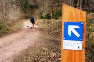 Explore the cycle routes in the forest