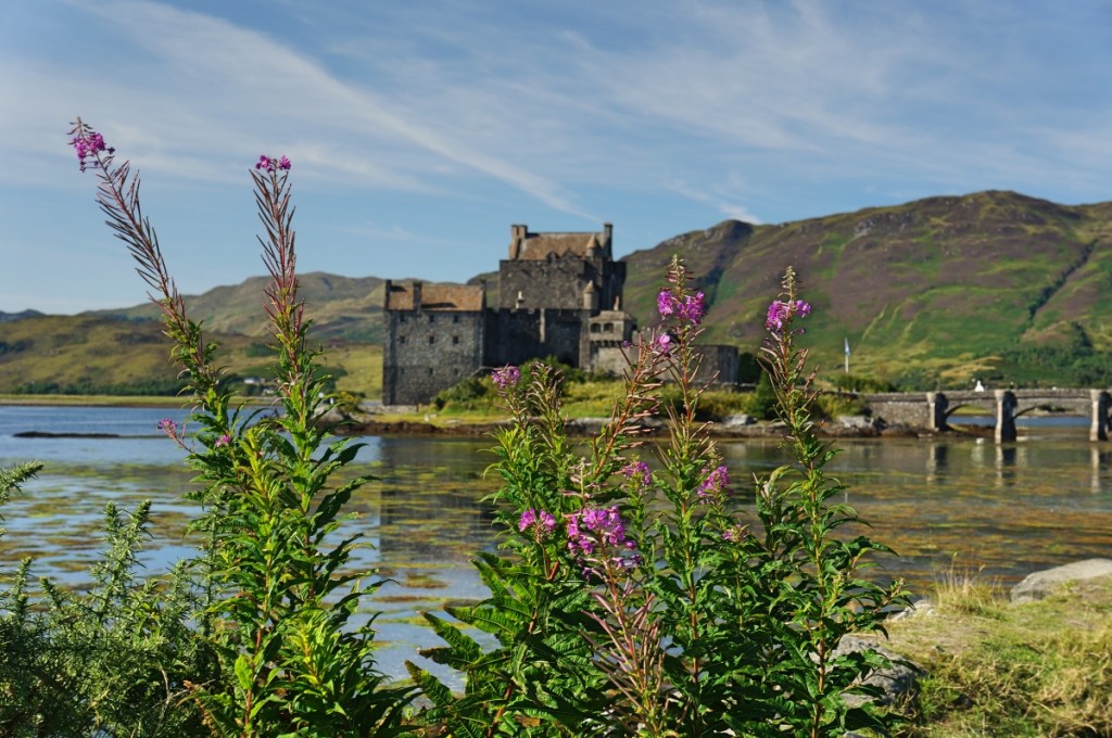 Looking through flowers across the water to Eilean Donan Castle