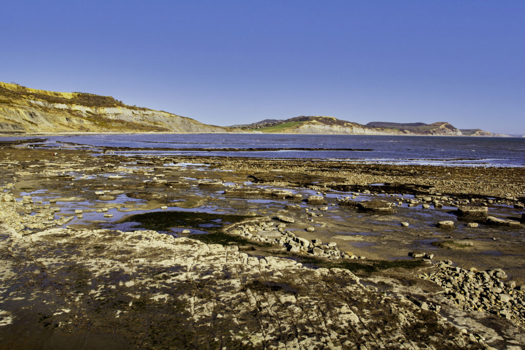 Charmouth, one of the best Fossil hunting beaches in the UK